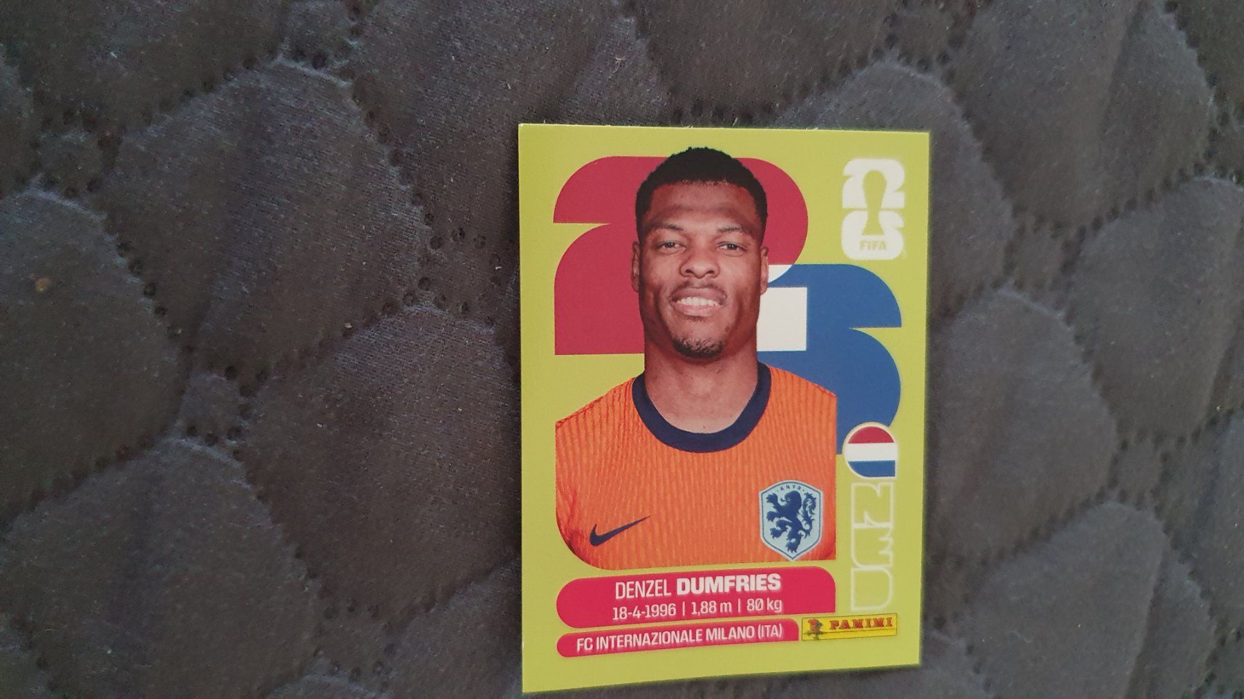 Panini Carte collezionabili: Panini WM 2026 - NED 6 – Usato da Beromünster venduto da boeggy