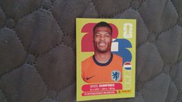 Panini WM 2026 - NED 6