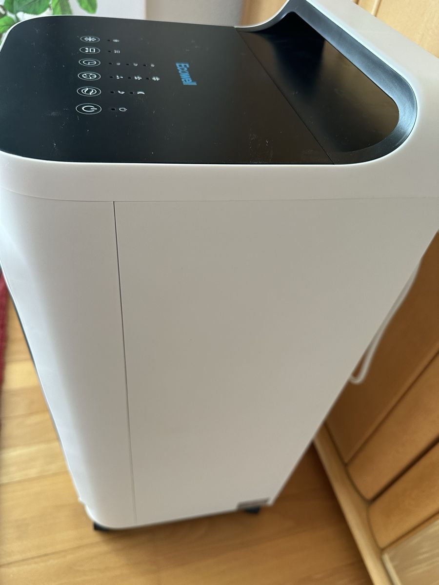 Condizionatori: Luftkühler Ecowell NEU – Nuovo e nell'imballaggio originale da Wallisellen venduto da funnydance 5