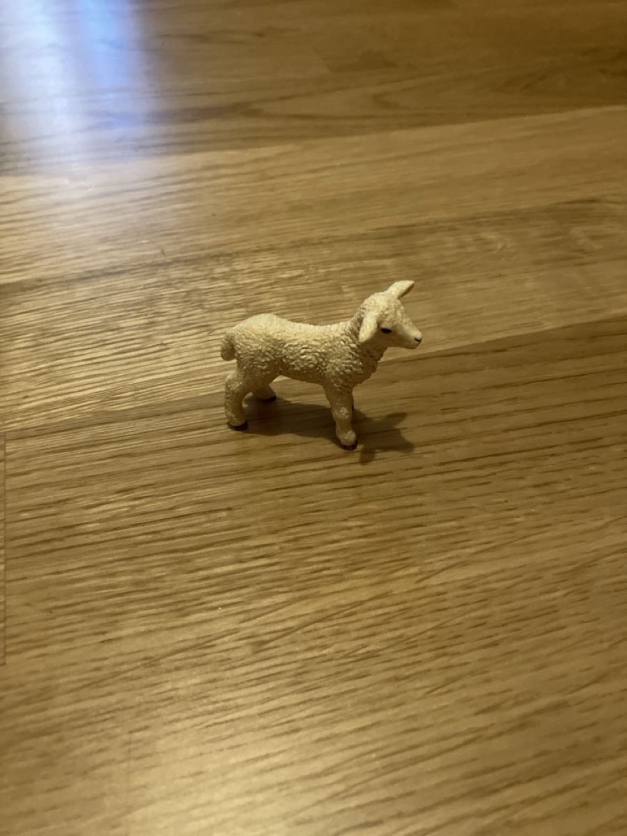 Schleich Giocattoli: Spring Lamb Figurine – Usato da Zürich venduto da papperlapapp1
