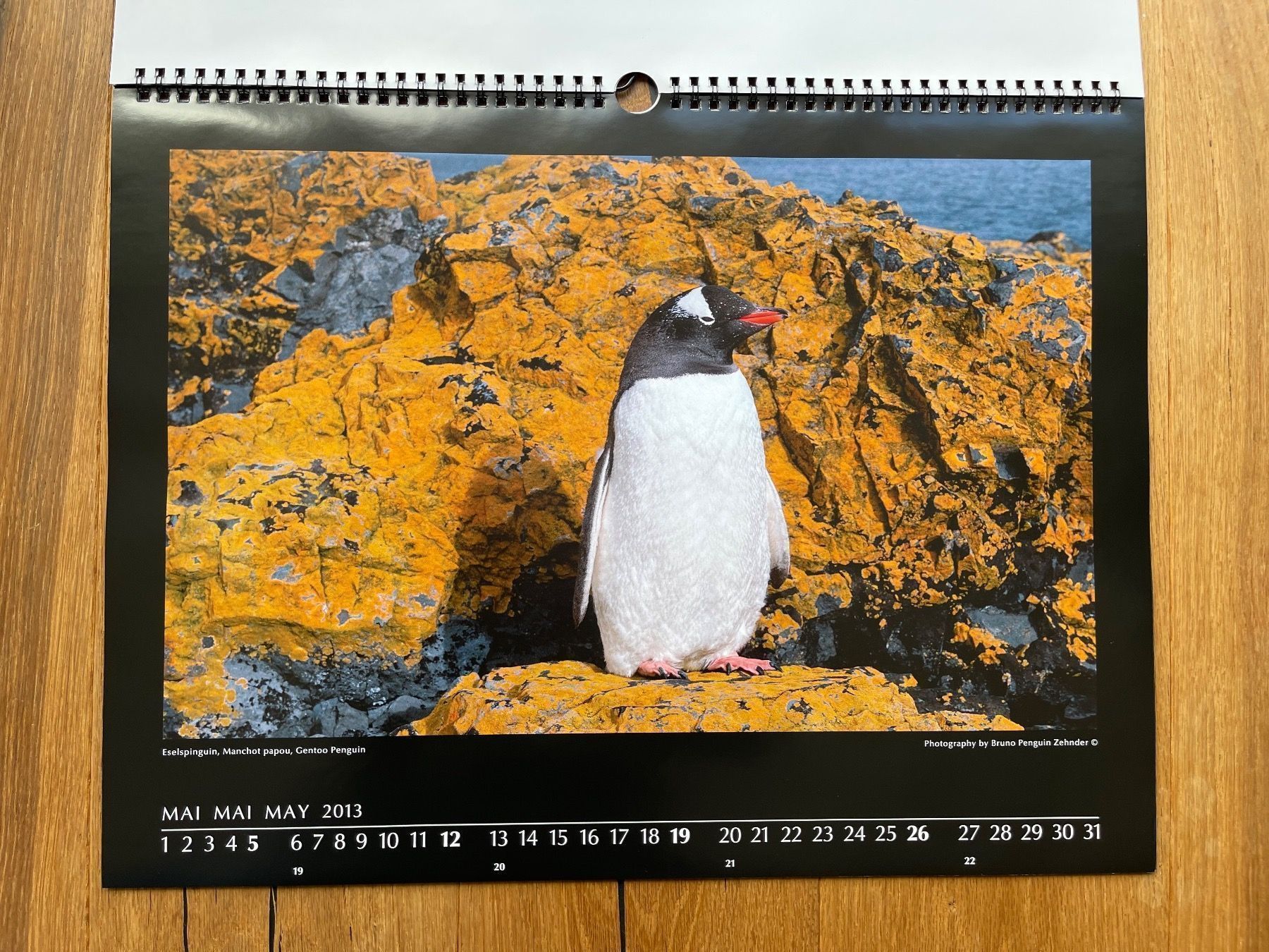 Kalender: Pinguin-Kalender (Bruno Zehnder) – Neu und originalverpackt aus Volketswil von doughboy 7