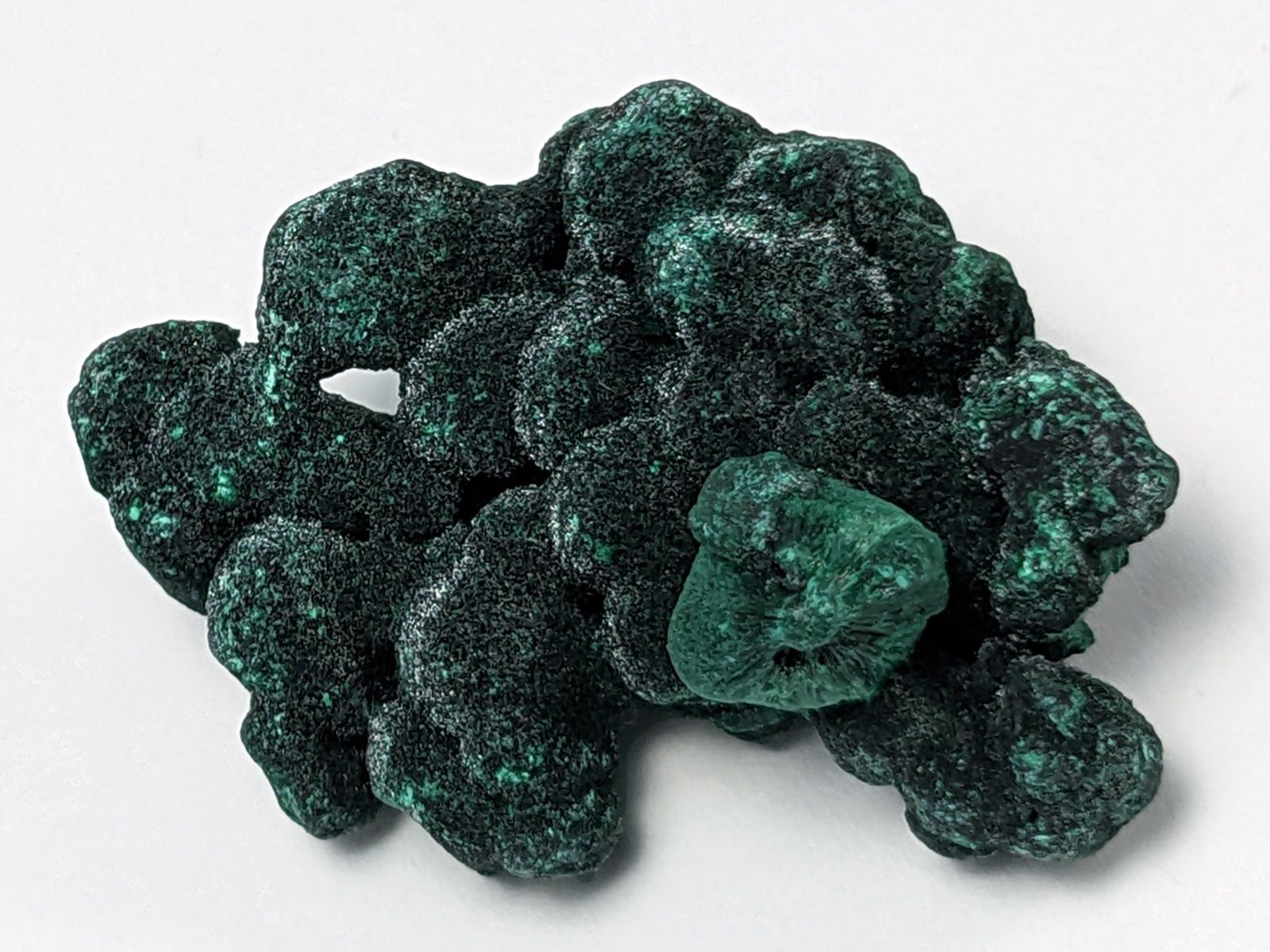 Minerali & Pietre curative: Malachit Rohstein/Faser Malachit 3,7cm – Nuovo e nell'imballaggio originale da Meilen venduto da StoneGarden