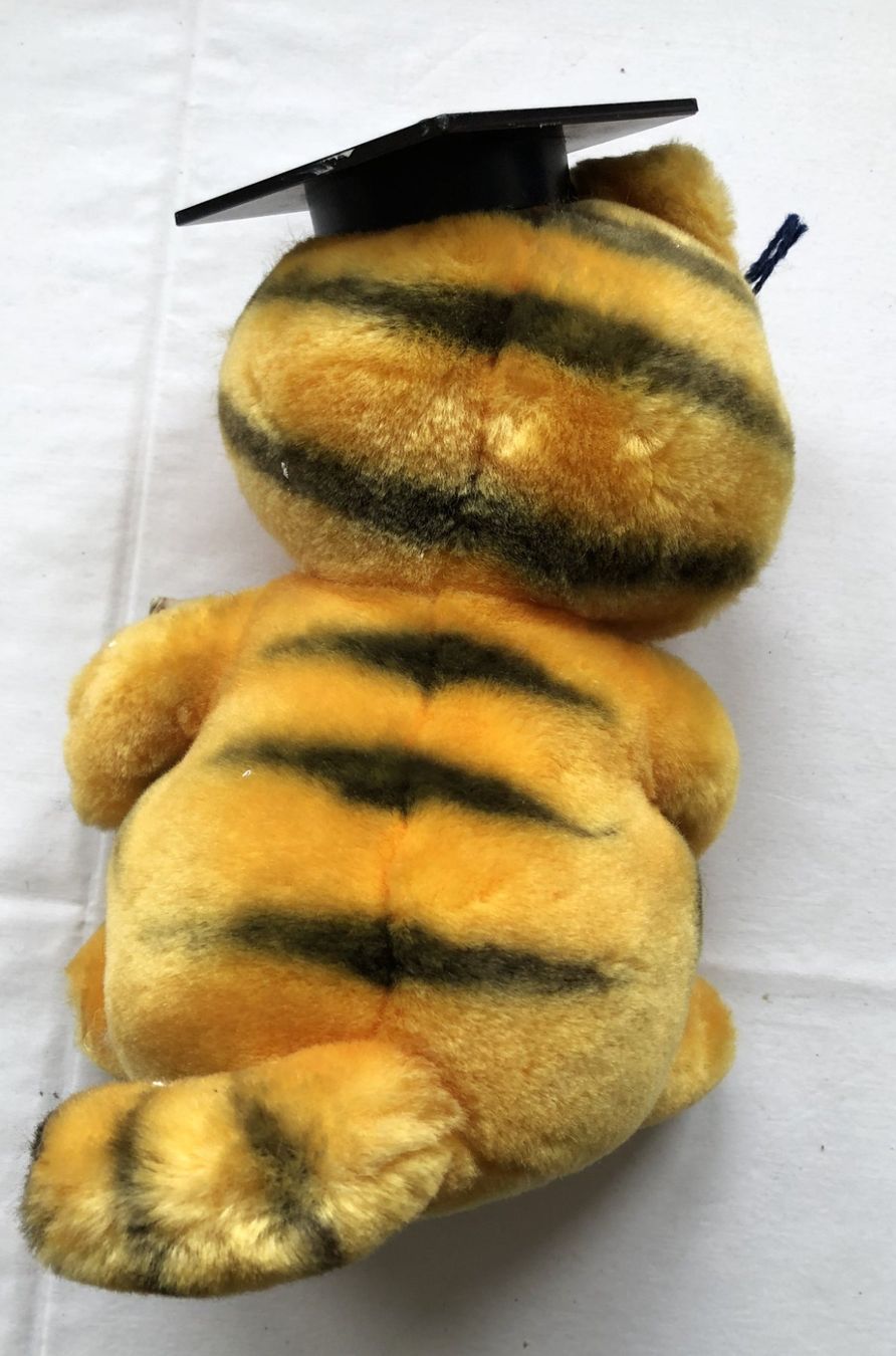 Giocattoli: Garfield - Plüschtier mit Diplom – Usato da Schaffhausen venduto da durruti 2