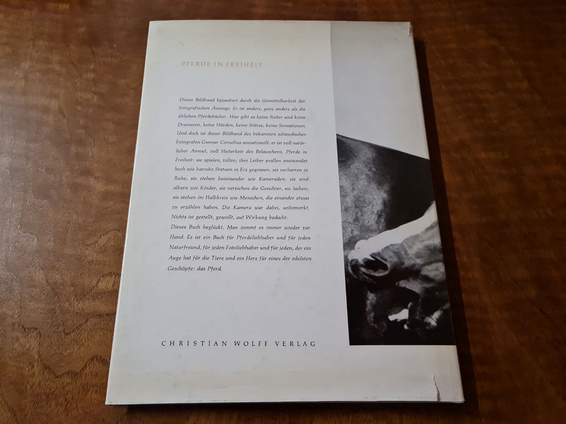 Libri: Pferde in Freiheit – Usato da Erstfeld venduto da Mario_boe0 4