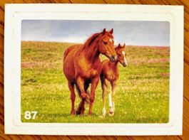 Migros Nature Detectives - Bild Nr. 87