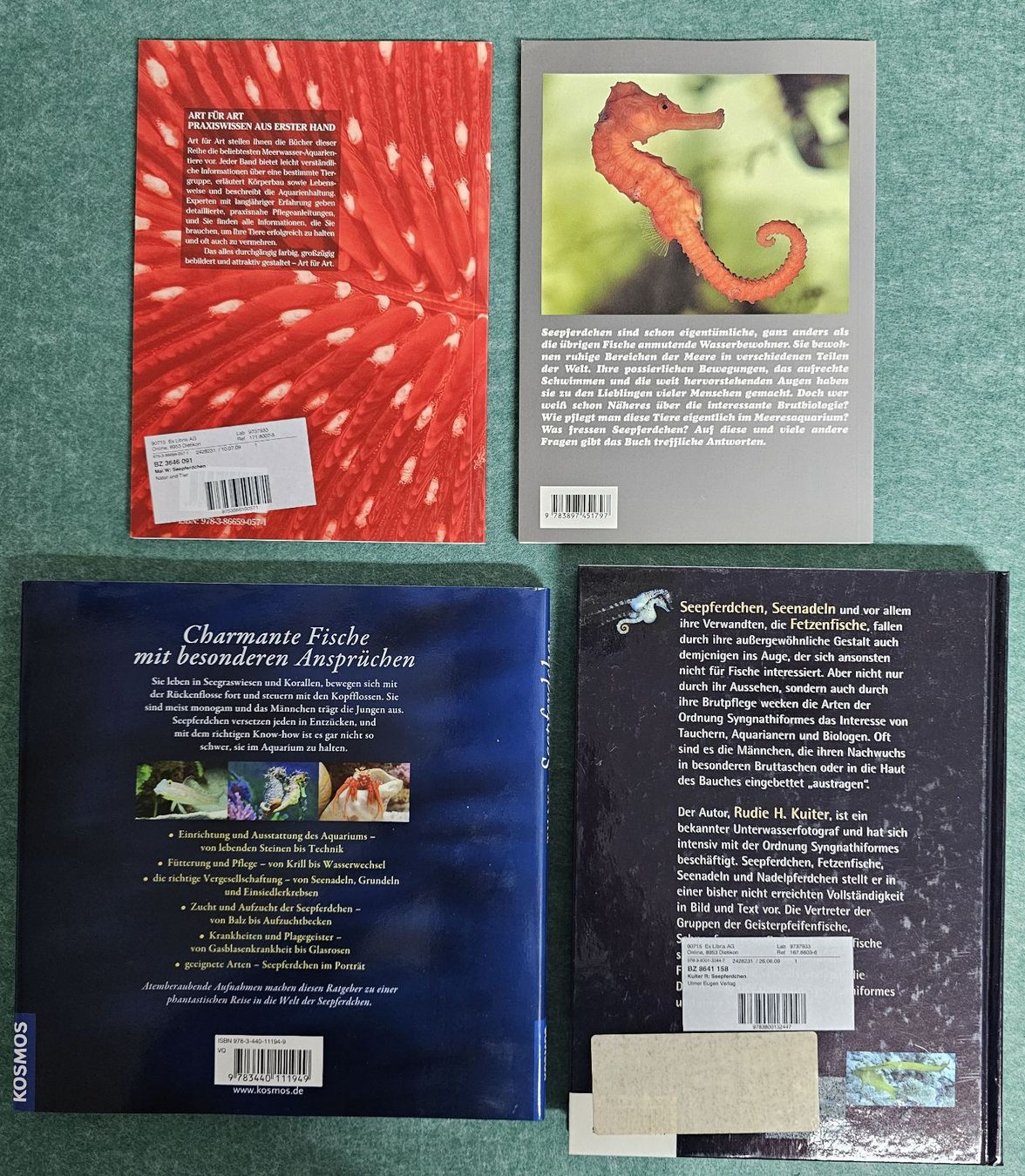 Libri: Seepferdchen - 4 Bücher – Usato da Seengen venduto da Acaramba 1