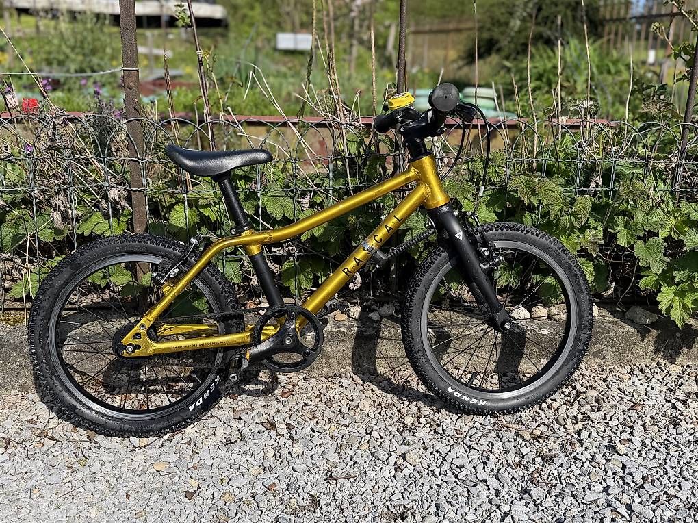 Biciclette: 16" Kindervelo Rascal Bikes Gold – Usato da Stäfa venduto da Tschimmen