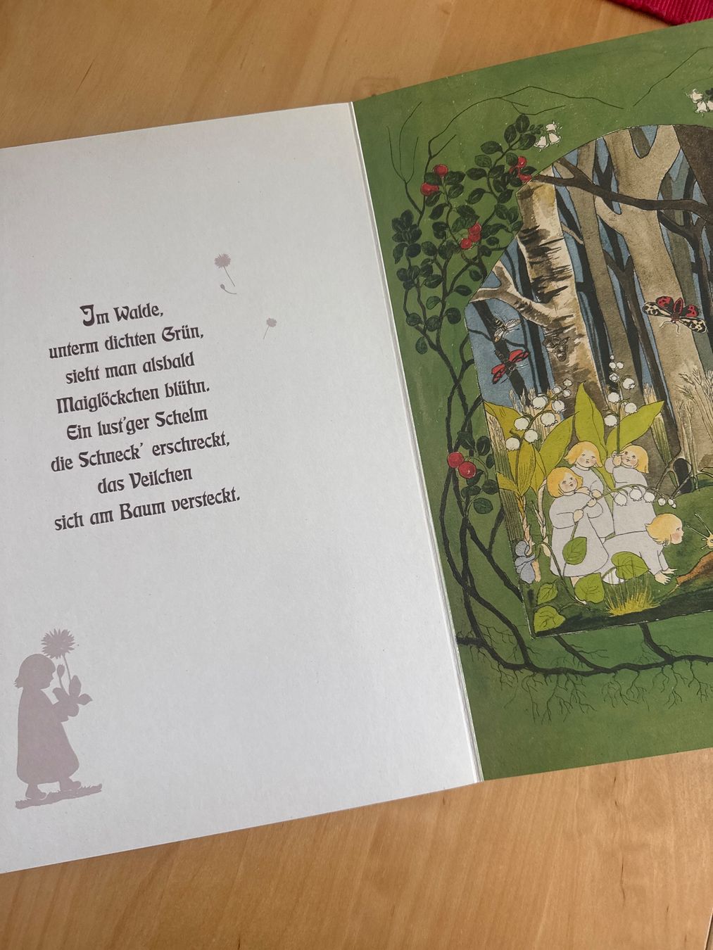 Bücher: Buch Etwas von den Wurzelkindern – Gebraucht aus Goldach von Hibiskus23 2