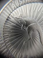 2016 1oz 9999 Silber Kangaroo Muenz, guter Zustand