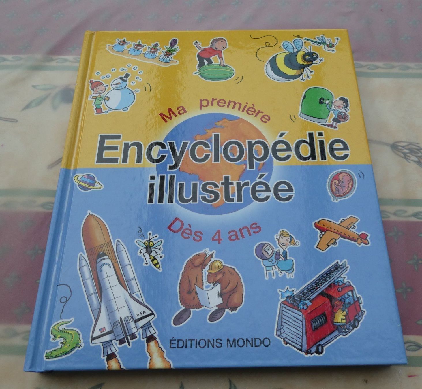 Libri: Encyclopédie illustrée – Nuovo (secondo la descrizione) da Troistorrents venduto da Marion70