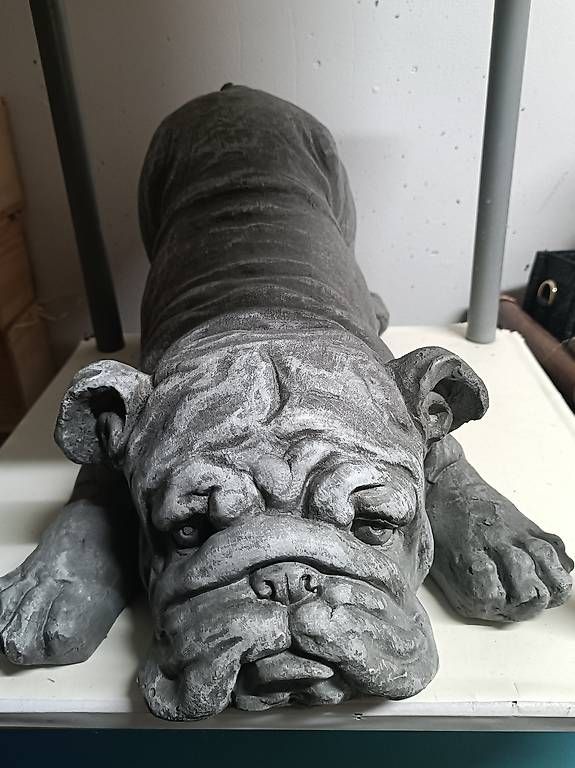 Sculture & Statue: Schwere Bulldogenstatue – Usato da Oberdorf BL venduto da alicia26
