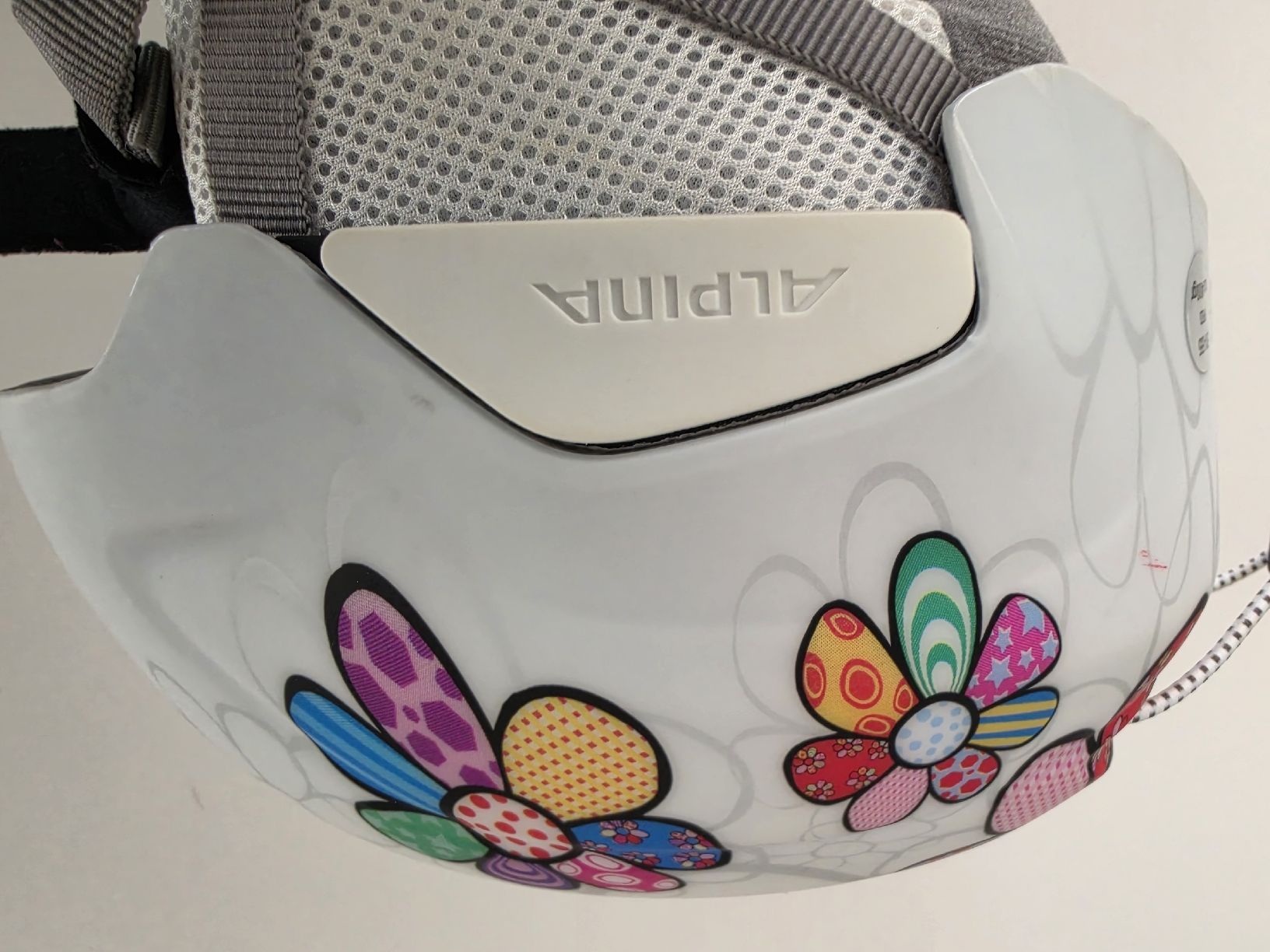 Alpina Caschi: Skihelm Alpina 51-55 – Usato da Wattwil venduto da gar_tpp6 4