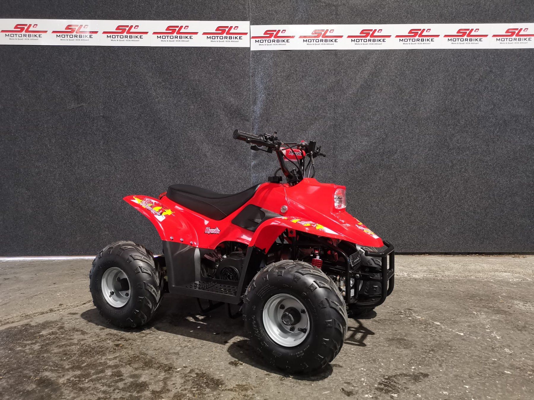 Veicoli per bambini: Hytrack SX50 Kinderquad – Nuovo (secondo la descrizione) da Attiswil venduto da quad_vermietung 7