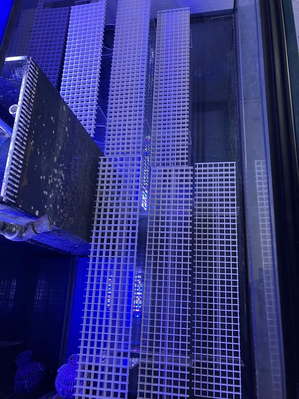 Eheim Acquari: Meerwasser Aquarium ca. 450 L. – Usato da schaffhausen venduto da kucukaga 2