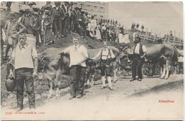 Landwirtschaft/Alpaufzug 1907 RIGI KULM mit Kuh+Senn