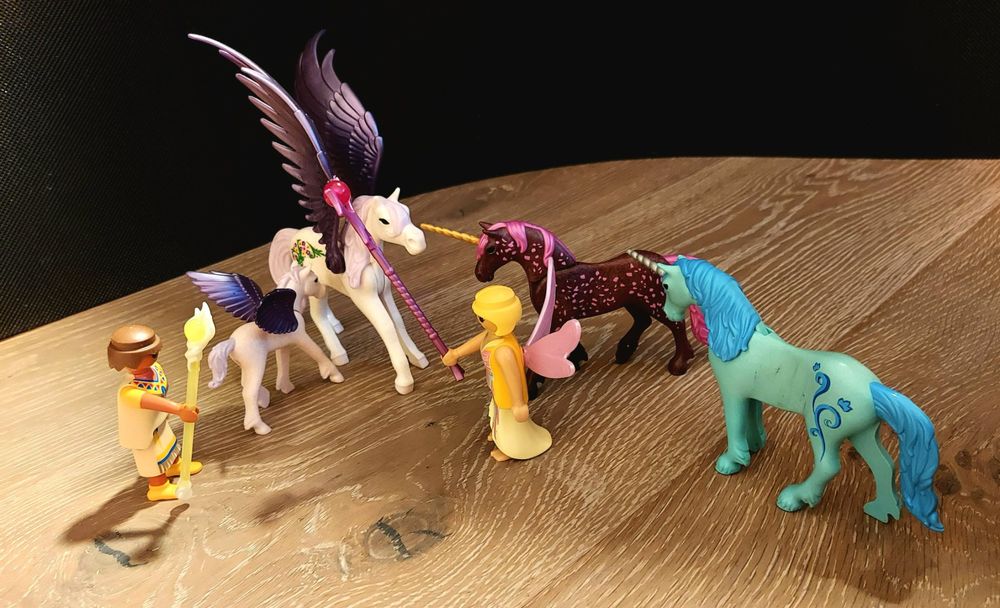 Playmobil Einhorn-Welt 