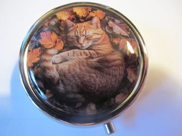 Herbstliche Pillendose mit Katze - Süss & Praktisch!
