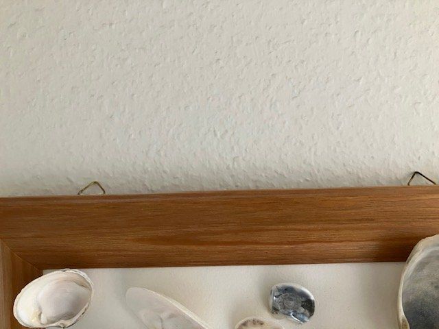 Alle Dekorationen: Wunderbares Stimmungsbild mit Muscheln – Gebraucht aus Zürich von JanetT01 4