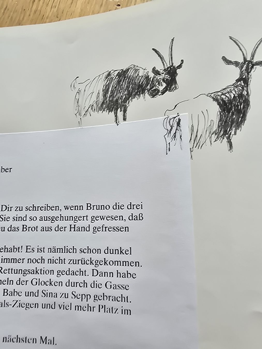 Bücher: Bilderbuch Alex – Gebraucht aus Hedingen von mickway 4
