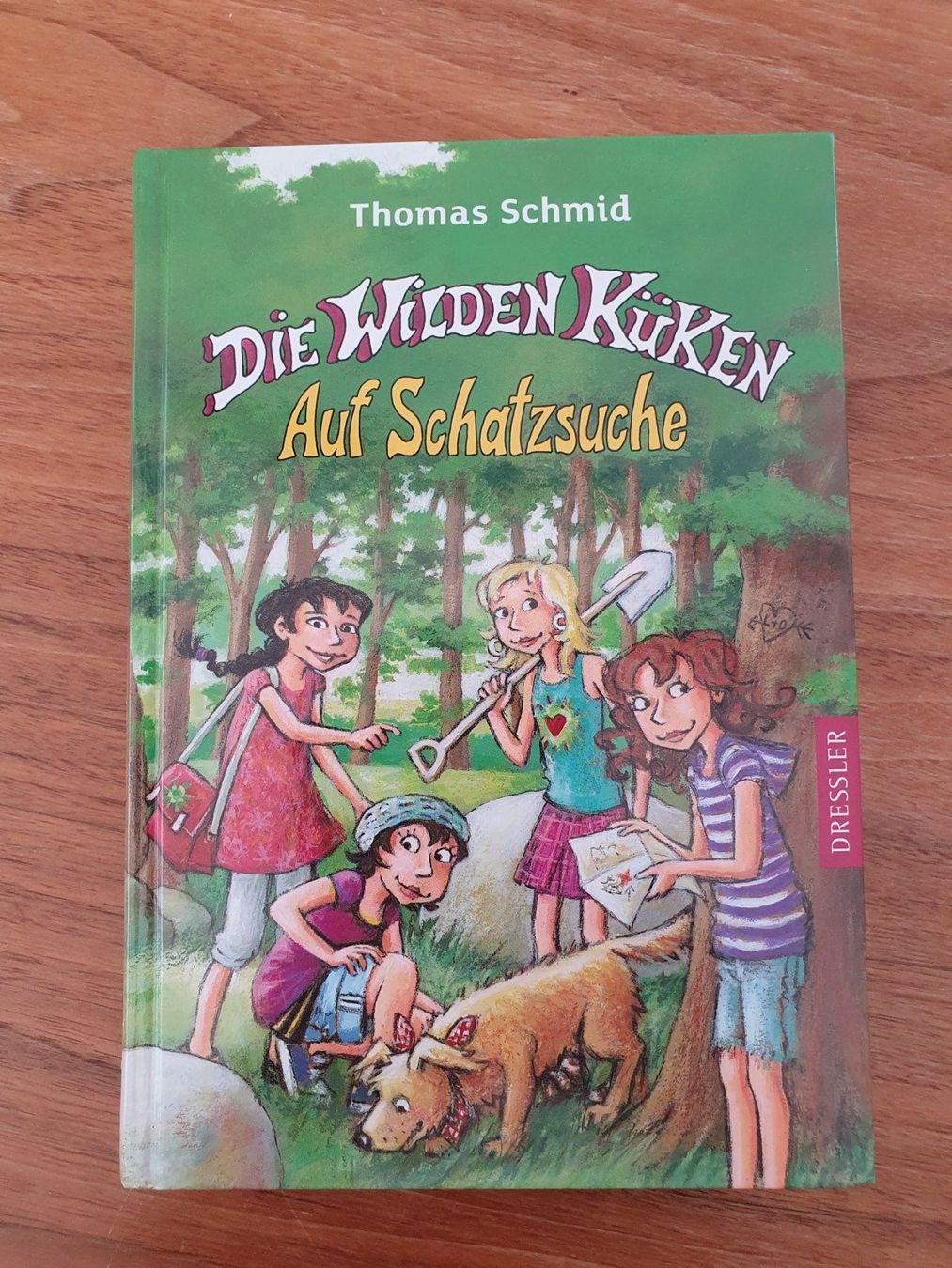 Libri: Die wilden Küken auf Schatzsuche – Nuovo (secondo la descrizione) da Jona venduto da Mafari