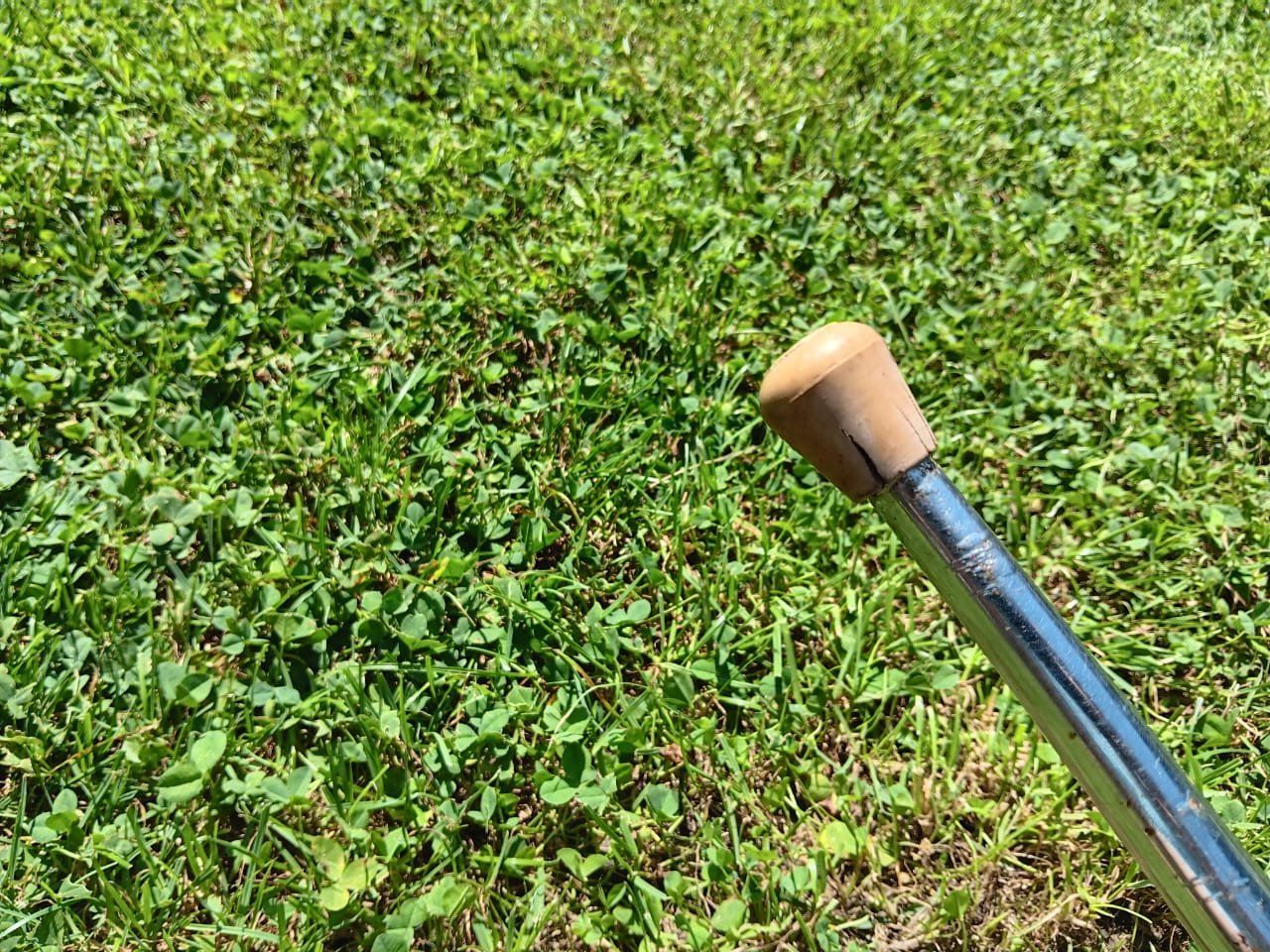 Sedie: Vintage Kelko Stühle 50er – Usato da Winterthur venduto da JuliaF01 5