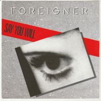 Foreigner - Say you will 7" Vinyl 1987