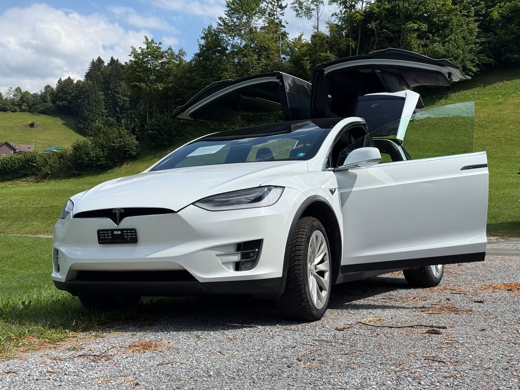Tesla Automobili: TESLA Model X 100D – Usato da Ebnat-Kappel venduto da anitasteiner 2