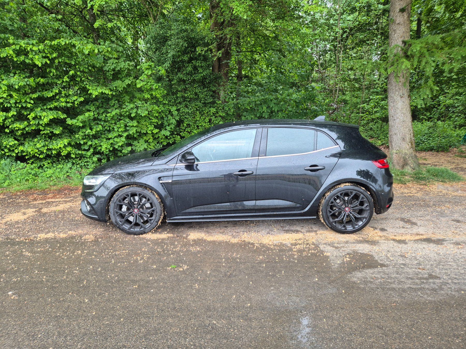 Renault Autos: Renault Megane RS 280 EDC – Gebraucht aus Strengelbach von Flobabo 2