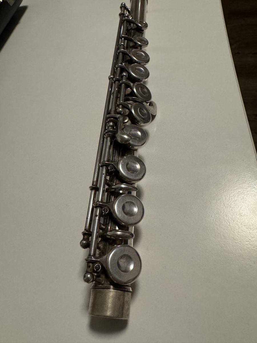 Strumenti musicali: Bouqet Querflöte (gebraucht) – Usato da Hochdorf venduto da fla_hl9g 1