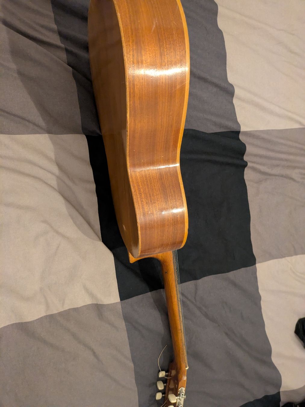 Strumenti musicali: Guitare – Usato da Perly venduto da ric_v2sd 5