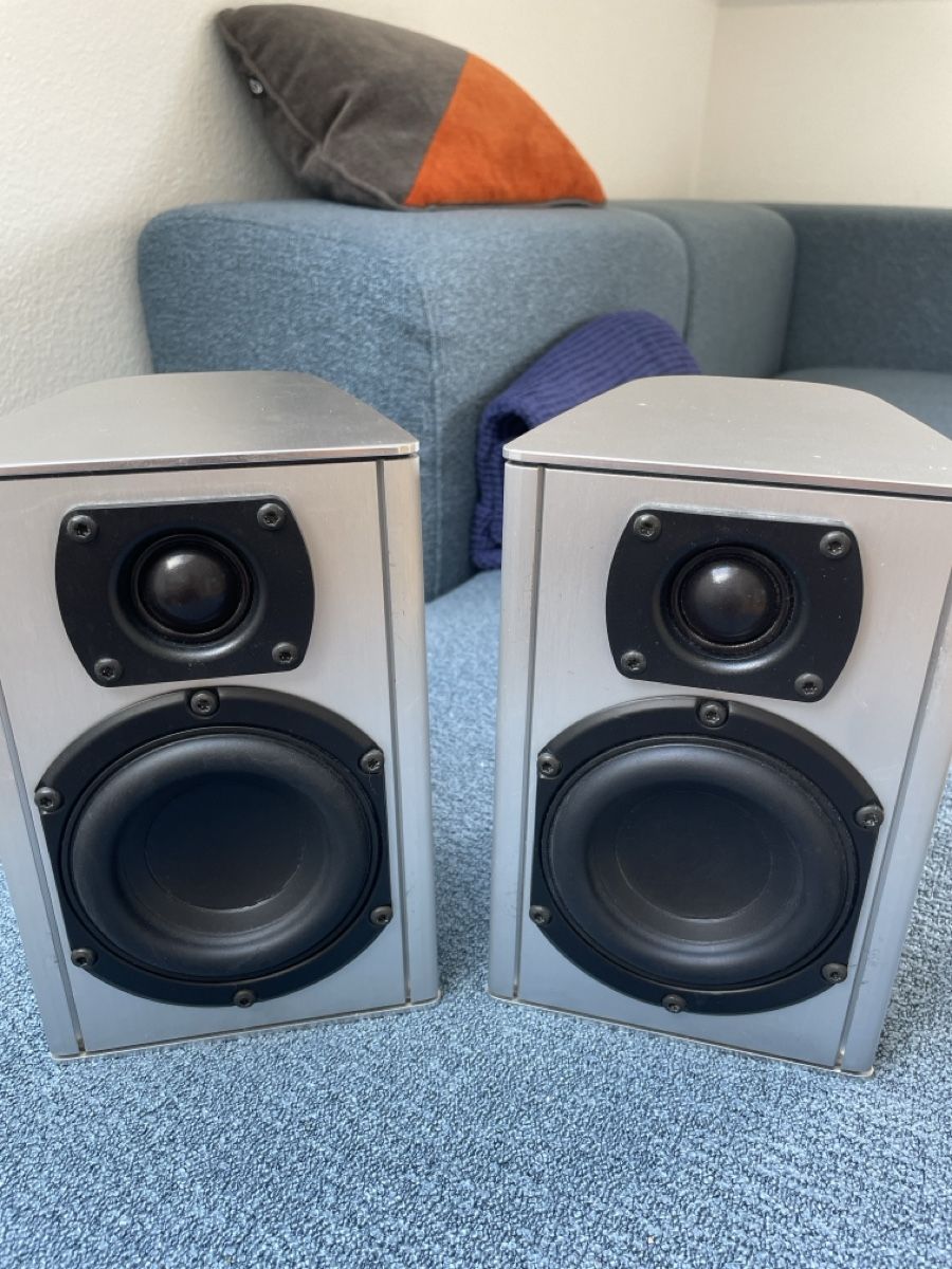 Piega Casse acustiche: Piega TS3 Lautsprecher – Usato da bern venduto da sousch 2