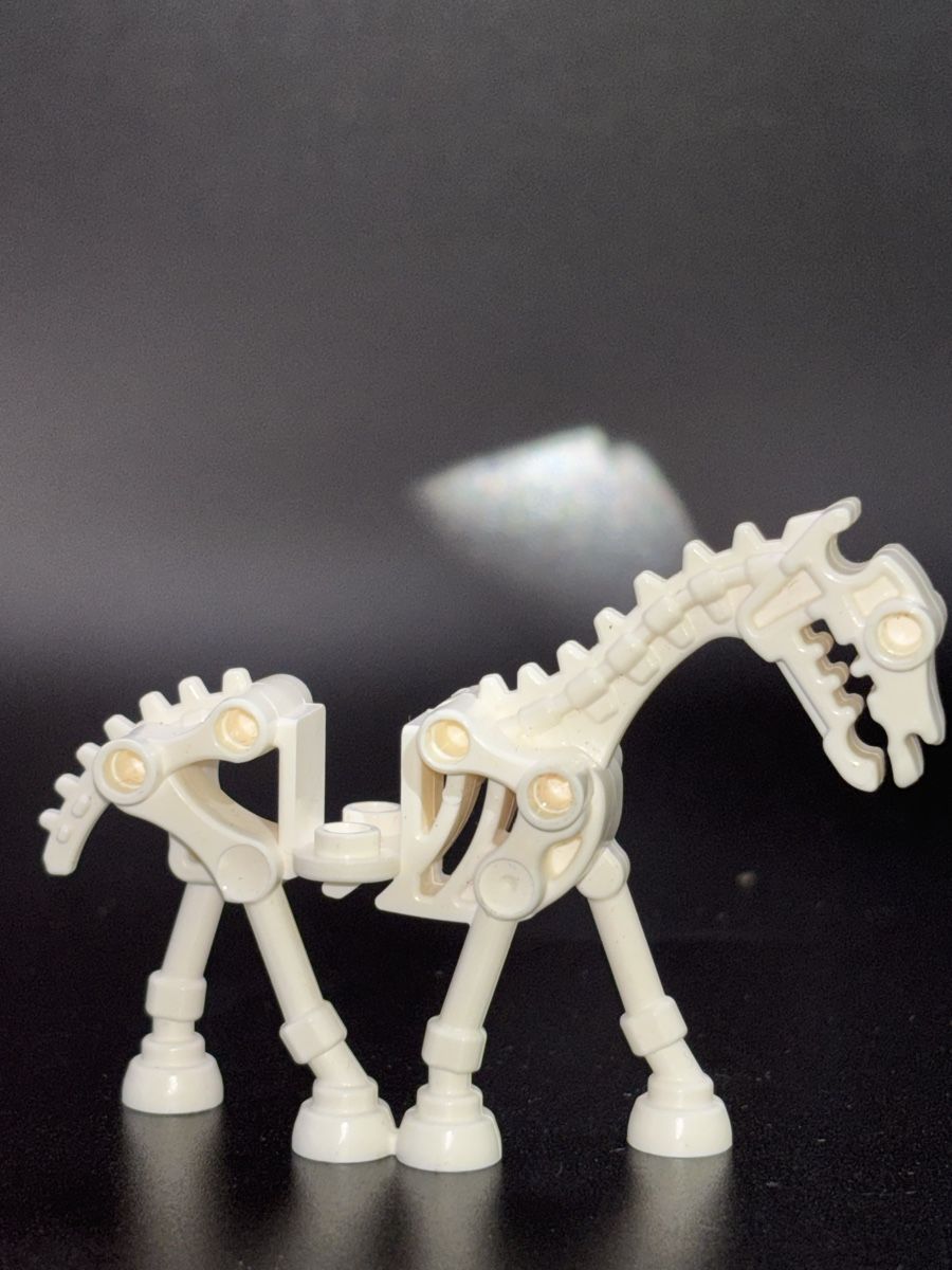 Lego Giocattoli: Lego Castle Pferd skeletal weiss – Usato da Winterthur venduto da Diwolf 1