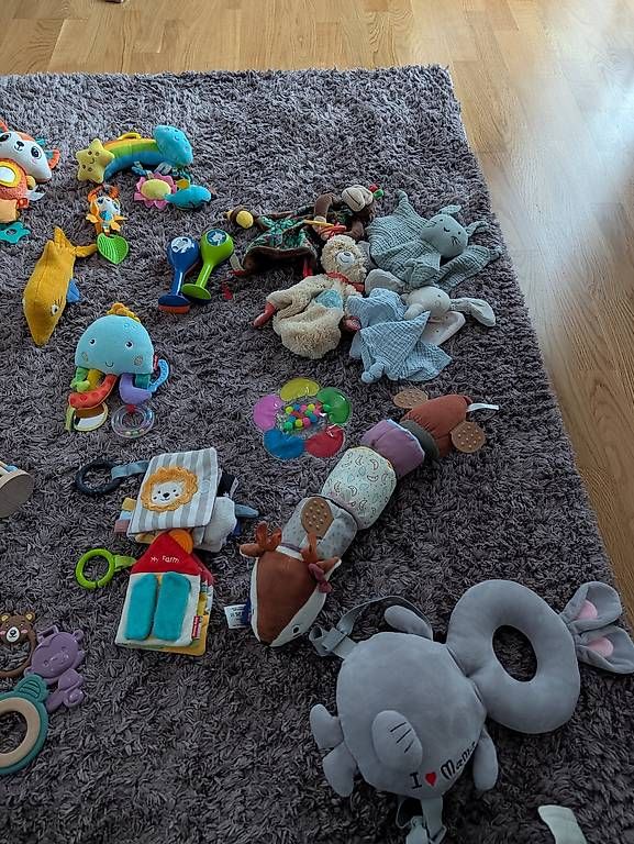 Giocattoli: Babyspielzeug – Usato da St. Gallen venduto da Alesha_Shop 2