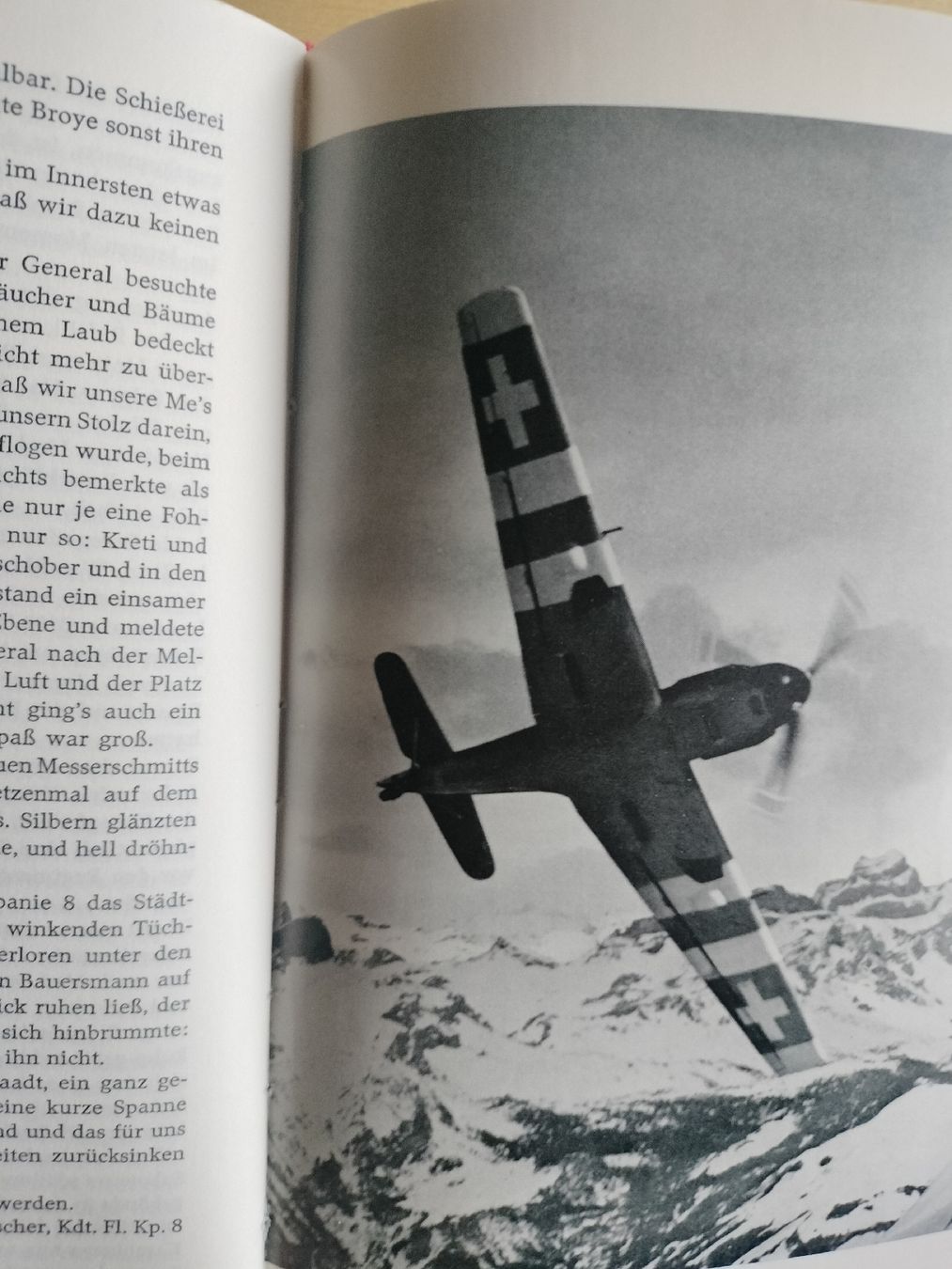 Libri: Schweizer Armee Militär Buch von 1959 – Usato da Schwanden Sigrisw venduto da len_9yqg 6