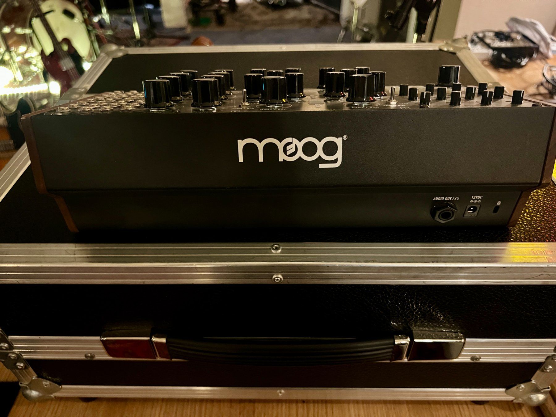 Moog Strumenti musicali: Moog Subharmonicon – Usato da Zürich venduto da shridl 3