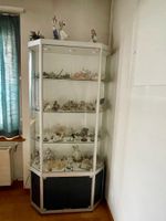 Vitrinenschrank mit Glastablaren, Top Zustand