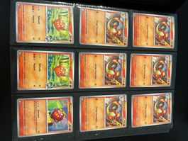 Pokemon Kartensammlung