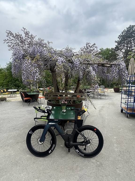 Scott Velos: Scott Plasma 6 Race config – Gebraucht aus Steffisburg von kookaburra1