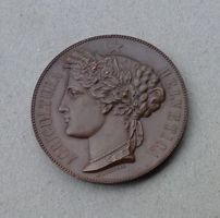 Medaille ++ Agricultura Zürich 1883