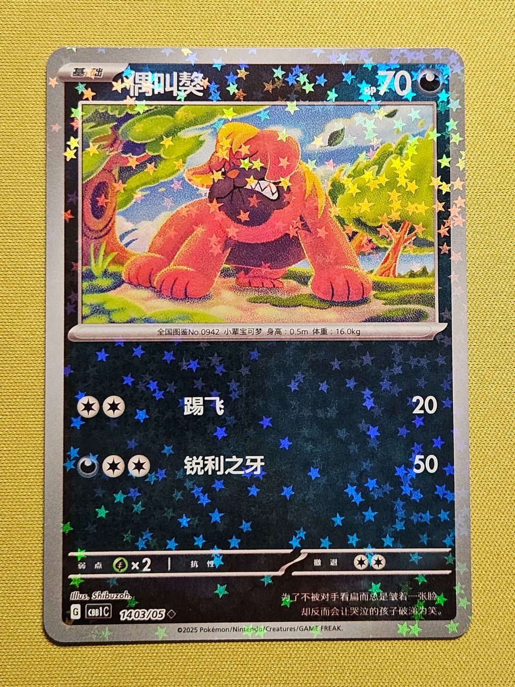 Pokémon Carte collezionabili: CBB1C Gem Pack Vol. 1 - Maschiff 1403/05 – Usato da Bellinzona venduto da Pokemarco