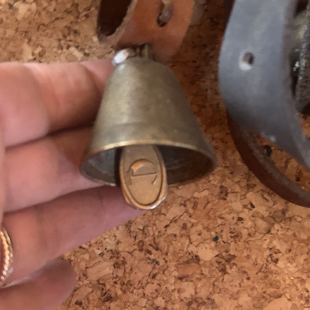 Campanacci mucche: 9 stk Glocken mit Lederriemen ( geisse oder schafe) – Usato da Laufen venduto da belleskulptur 9