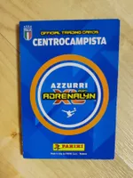 Panini Überraschungspäckli Karten von Saison 2023/2024