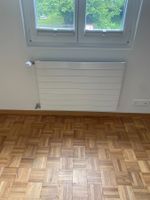 1 x Heizkörper L90 x H60 x B6  (cm)
