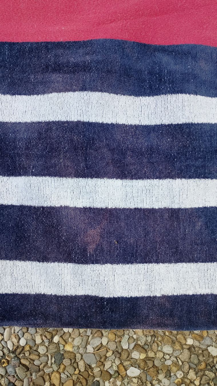 Badetücher: serviette de bain x 2 – Gebraucht aus Crans VS von est_8mbd 3