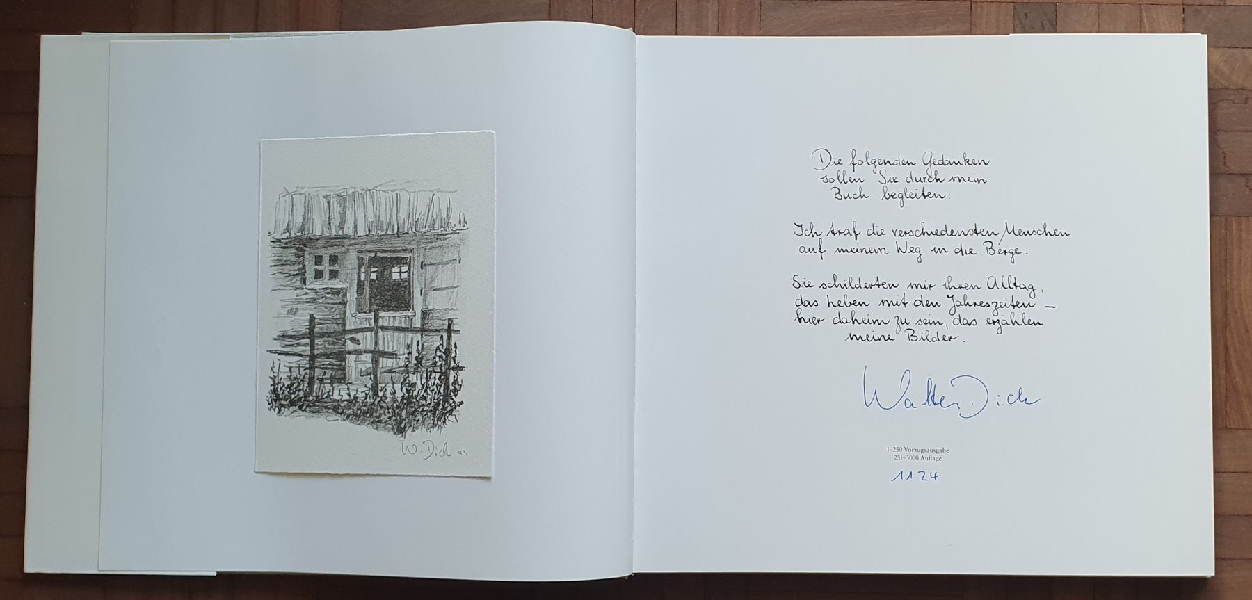 Libri: Buch - Walter Dick - Steinige Bergwelt – Usato da Kreuzlingen venduto da Rschweiz1 1