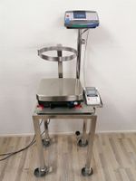 OHAUS Ranger 7000 - Customized f. Gasfl.