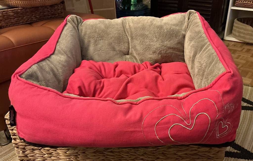 Cucce & Letti: Panier pour chien ROGZ – Usato da Troinex venduto da nin_kv6x 1