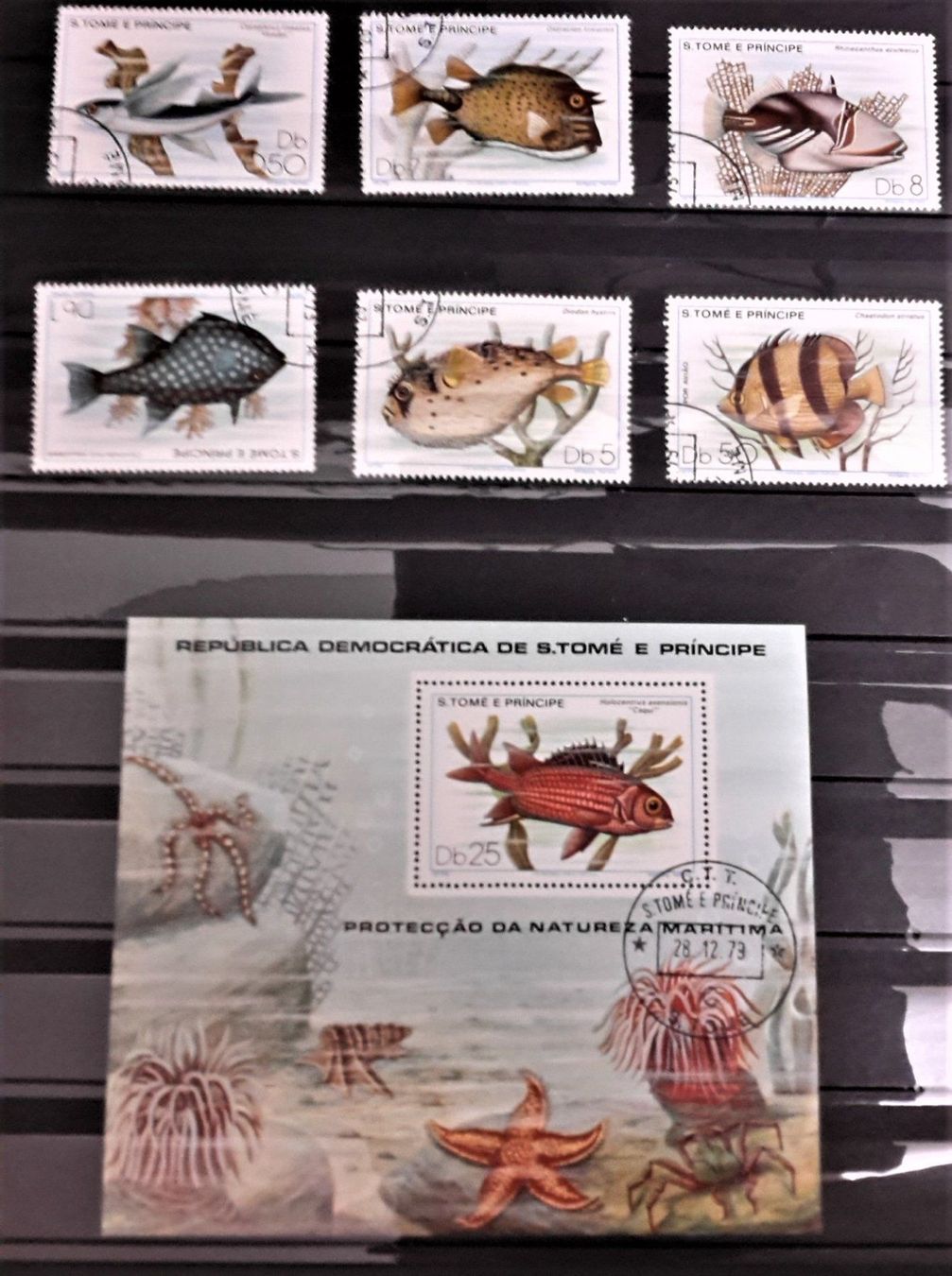 Alle Briefmarken: Internationale Briefmarken THEMA-Sammlung  "FISCHE DER WELT" – Neu (gemäss Beschreibung) aus Zug von Aeschroot 5