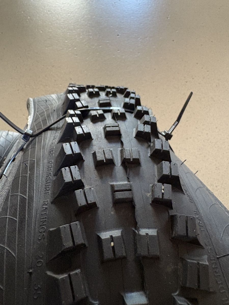 Ersatzteile: WTB MTB Enduro Reifenpaar 29" – Gebraucht aus Liebefeld von Rugenparkson 1