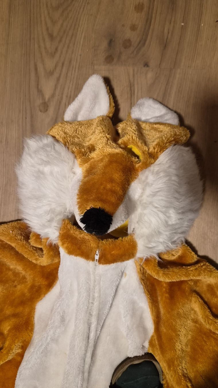 Costumi: Fasnachtskostüm Fuchs – Usato da Beckenried venduto da luca1231 1